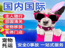 连云港花果山航空快递国际宠物托运 【国